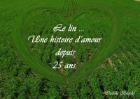 Festival du lin 2016